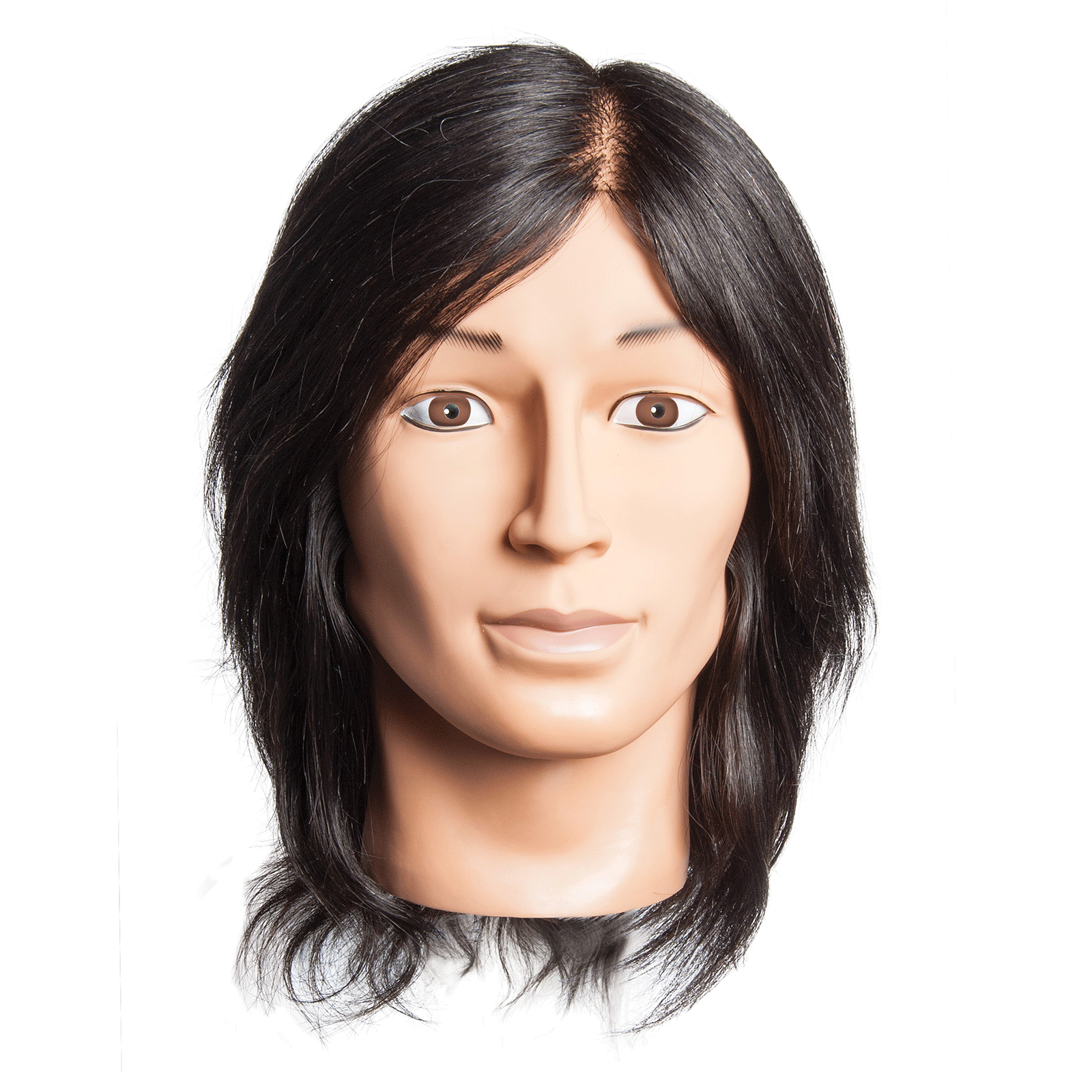 male mannequin head with hair