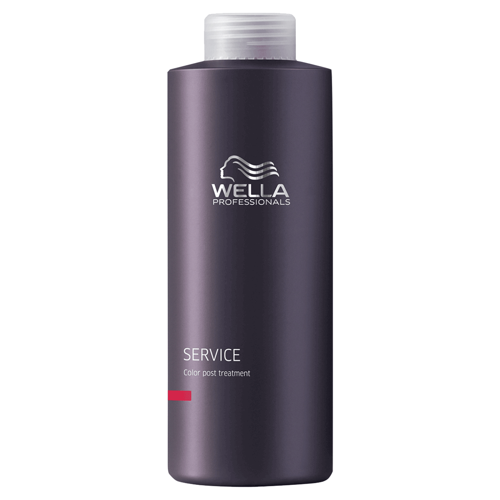 Post Color Treatment Wella CosmoProf Post Color Treatment Wella CosmoProf
