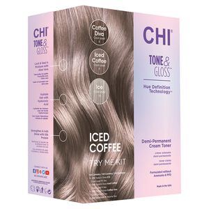 Tone & Gloss Iced Coffee Try Me Kit