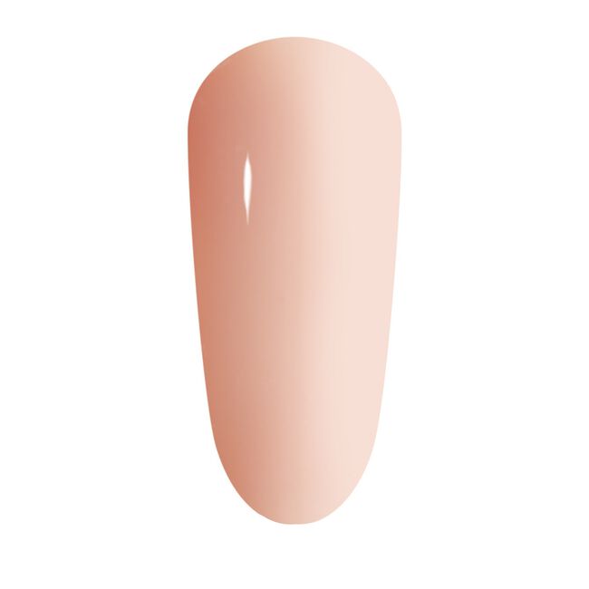 19 BIAB Builder In A Bottle