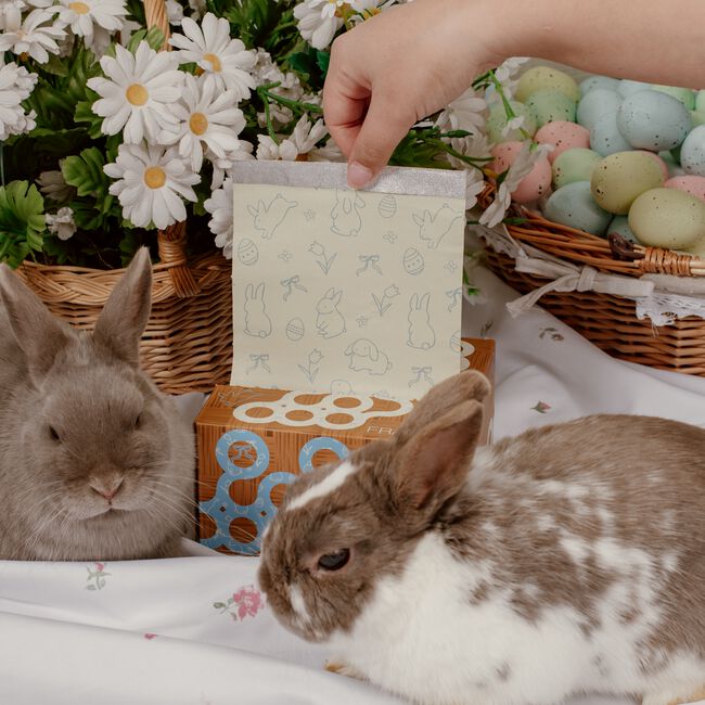 Be Hoppy Pop-Up Foil