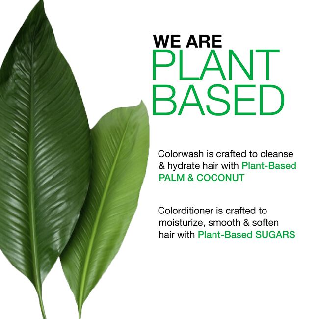 Viral Purple Colorwash