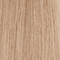9NB-9.01 Very Light Natural Ash Blonde
