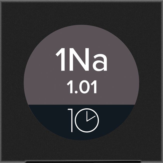 1NA Natural Ash The Color 10 Permanent Cream Hair Color