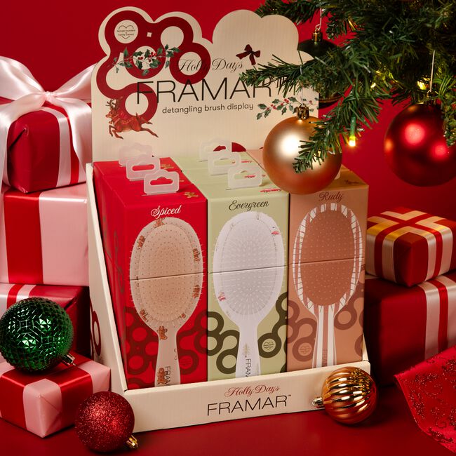 Holly Days Detangle Brush Display