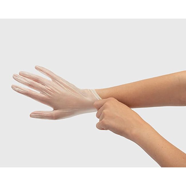 Large Vinyl Powder Free Gloves