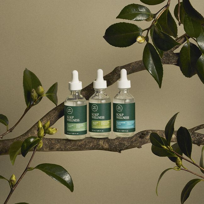 Tea Tree Oily Scalp Serum Tea Tree Oily Scalp Serum