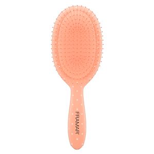 Detangler Brush