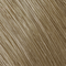 9NA Very Light Natural Ash Blonde
