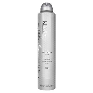 Platinum Heat Block Spray 22