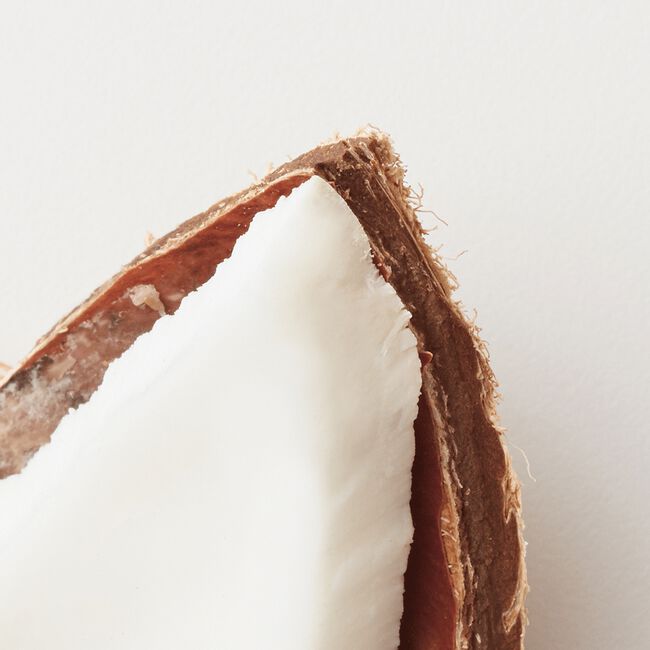 Coco Nut Milk Conditioning Spray AG Care CosmoProf