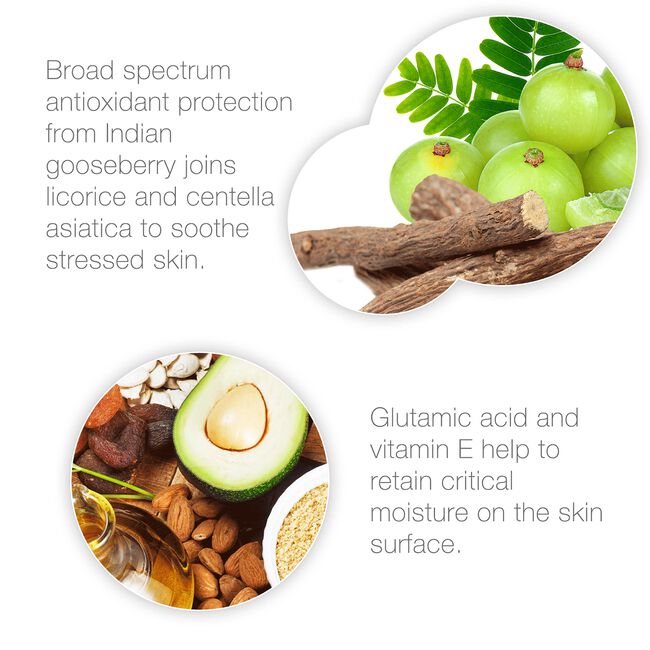 Infusion Hydrating Masque