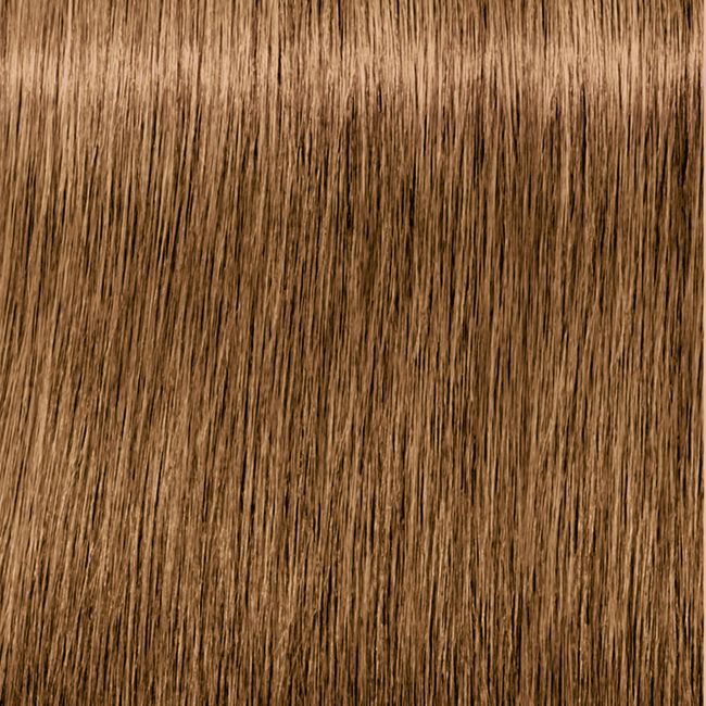 7-50 Medium Blonde Gold Natural IGORA Zero Amm No Ammonia Permanent Color Creme