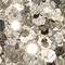 Black Ice