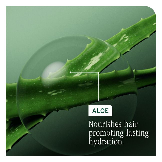 HydraSource Deep Treatment Hair Mask for Dry Hair
