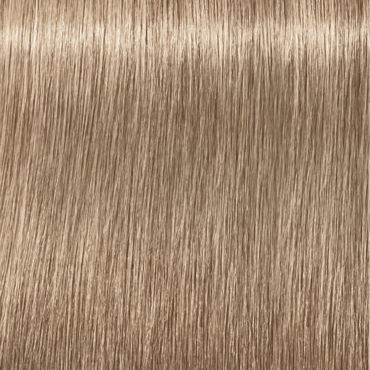 9-19 Extra Light Blonde Cendré Violet IGORA Royal Permanent Hair Color ...
