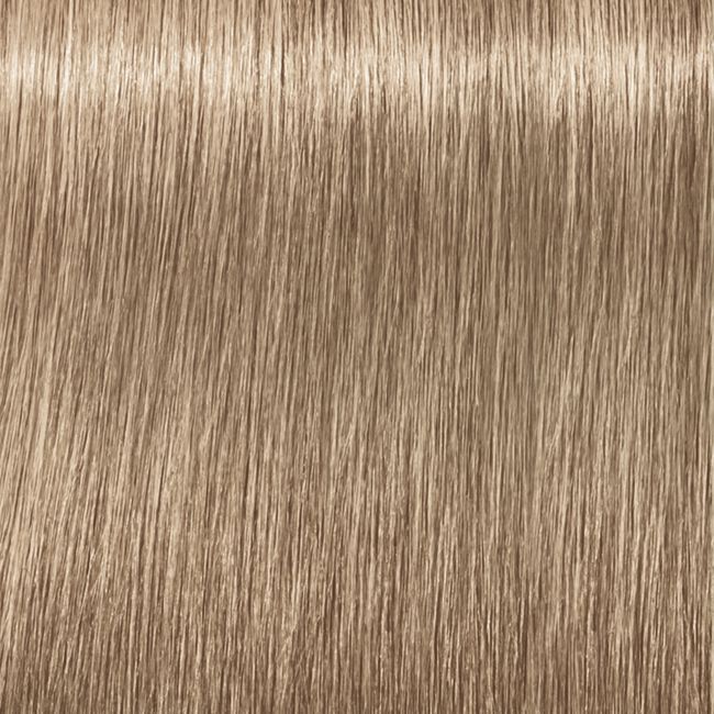 9-19 Extra Light Blonde Cendr&eacute; Violet IGORA Royal Permanent Hair Color