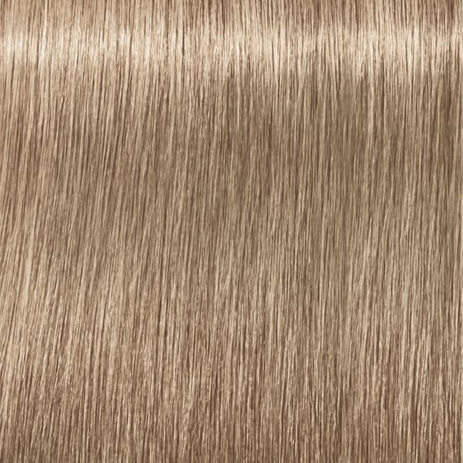 9-19 Extra Light Blonde Cendré Violet IGORA Royal Permanent Hair Color