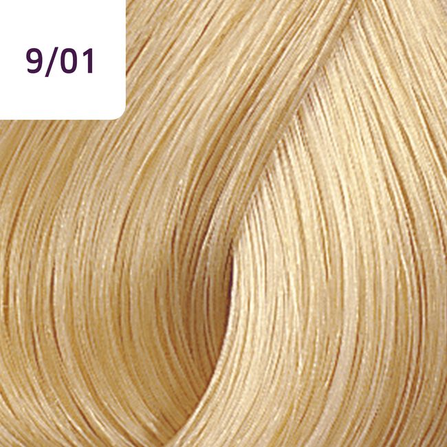 9/01 Light Blonde/Natural Ash - CosmoProf
