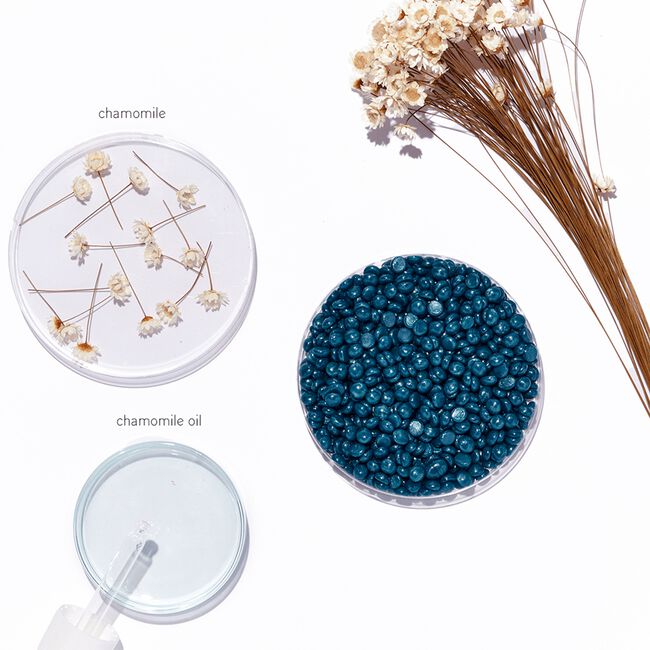 Pro Wax Bead Kit