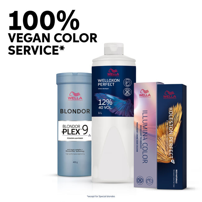 Welloxon Perfect 20 Volume Cream Developer