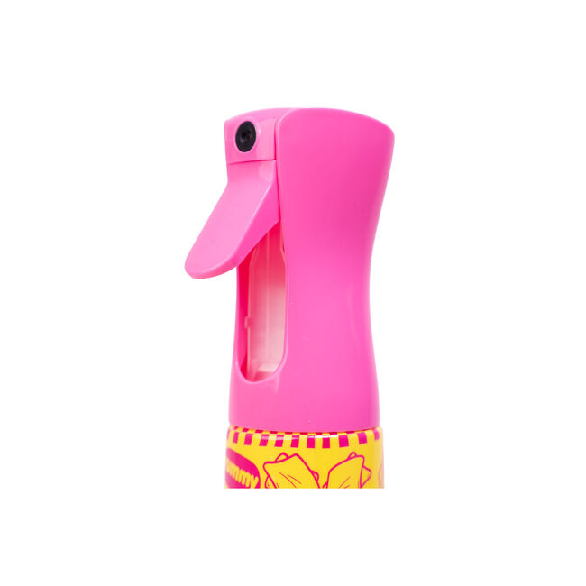 Color Combo Continuous Spray Bottle