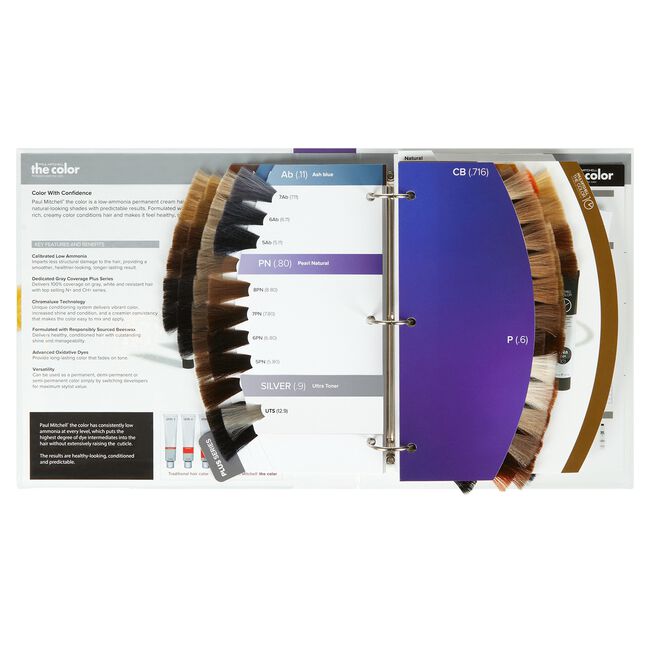 The Color Swatch Book