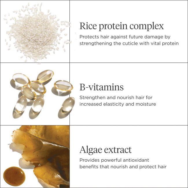 Don't Despair, Repair! MegaStrength+ Rice Water Protein & Moisture Strengthening Treatment