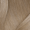 10NN Neutral Neutral