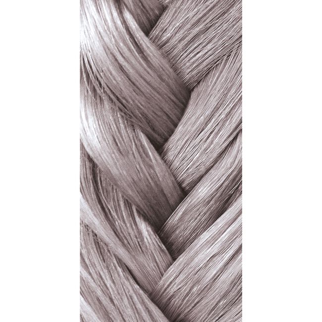 Artistic Toner Violet Blonde Demi-Permanent Cream Hair Color