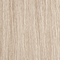 10BG/10.13 Lightest Ash Gold Blonde
