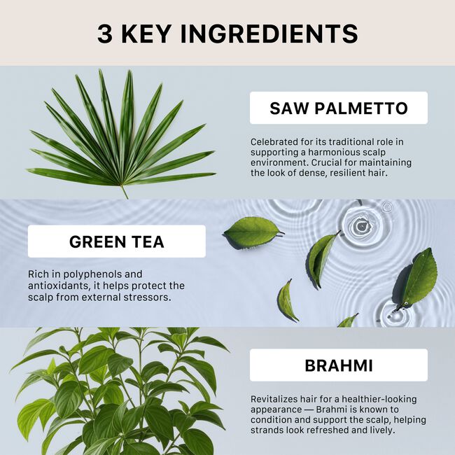 Recover Shampoo & Conditioning System for Men