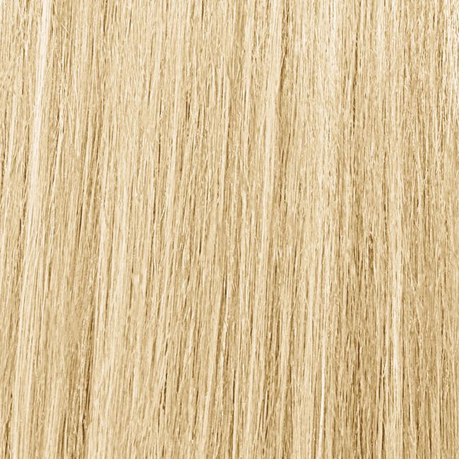 11N Extra Light Blonde Plus