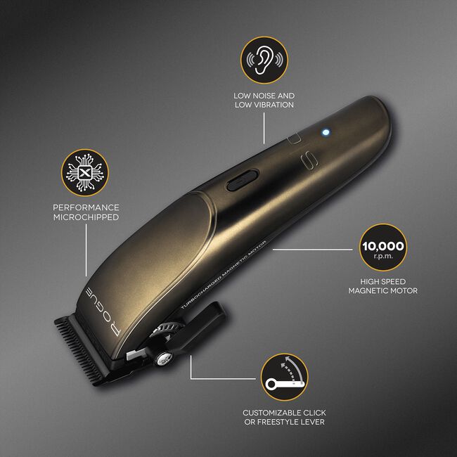 Rogue Clipper
