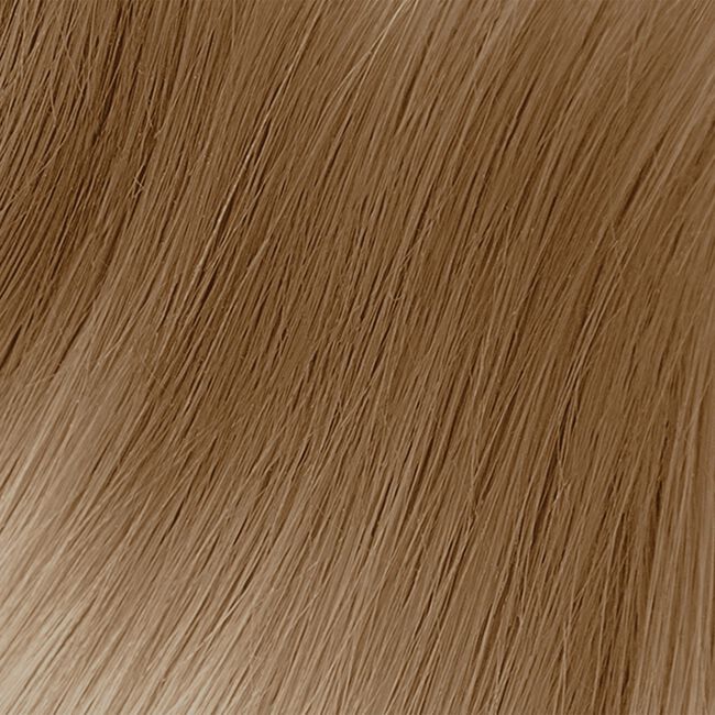 9H/9.35 Very Light Hazelnut Blonde