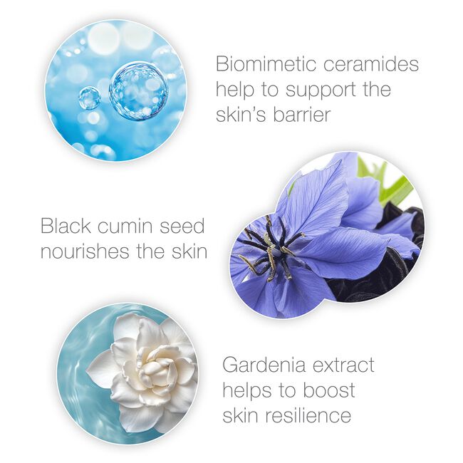 Hyaluronic Repair Serum