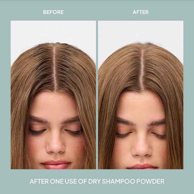 Dry Shampoo Powder