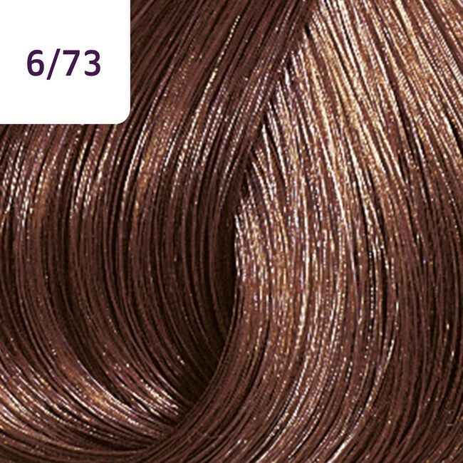 6/73 Dark Blonde/Brown Gold
