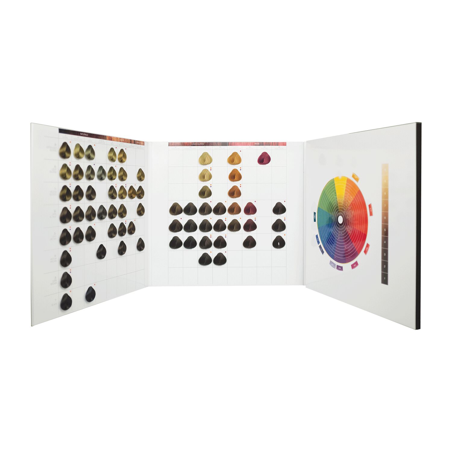 IGORA Royal Compact Swatch Book Schwarzkopf Professional CosmoProf
