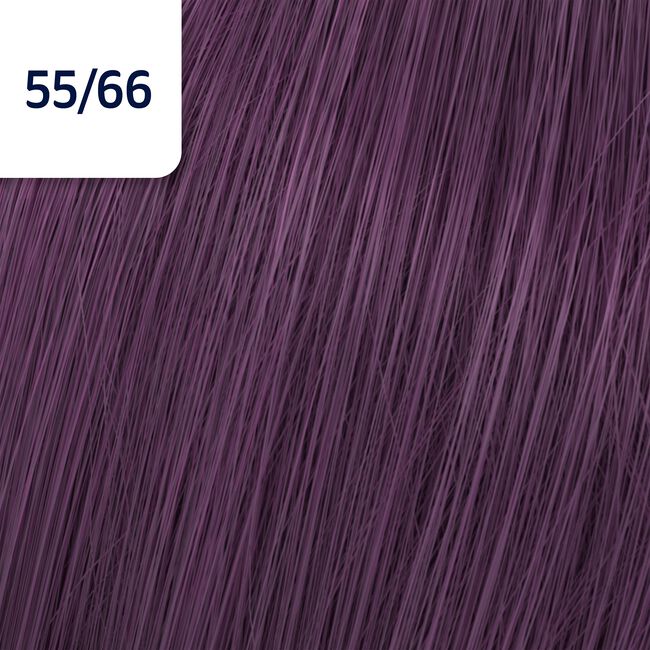 55/66 Intense Light Brown Violet Violet