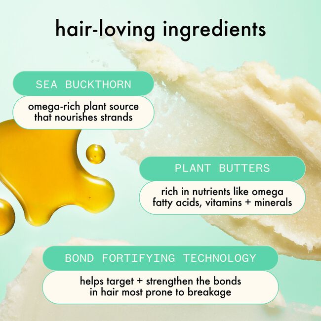 The Kure Strength Repair Shampoo