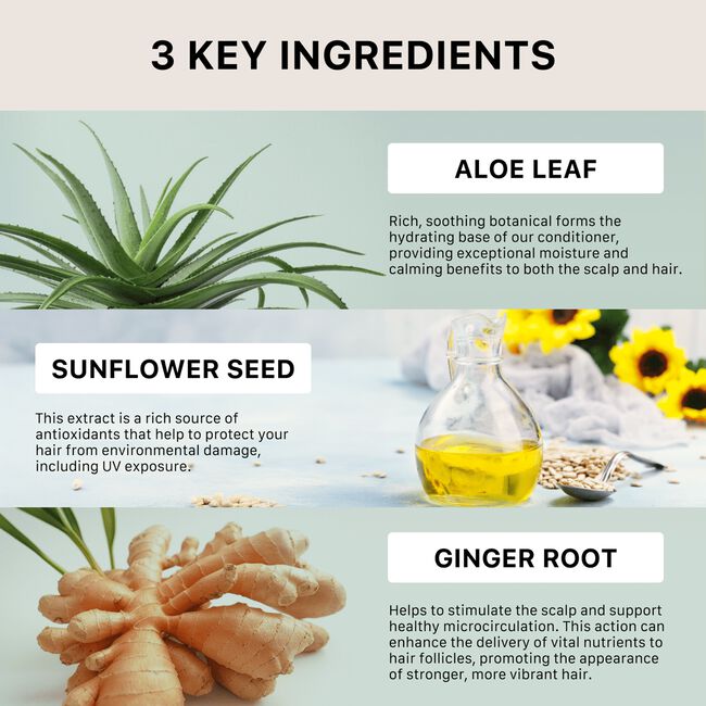 Renew Healing Conditioner