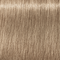 9-19 Extra Light Blonde Cendr&eacute; Violet