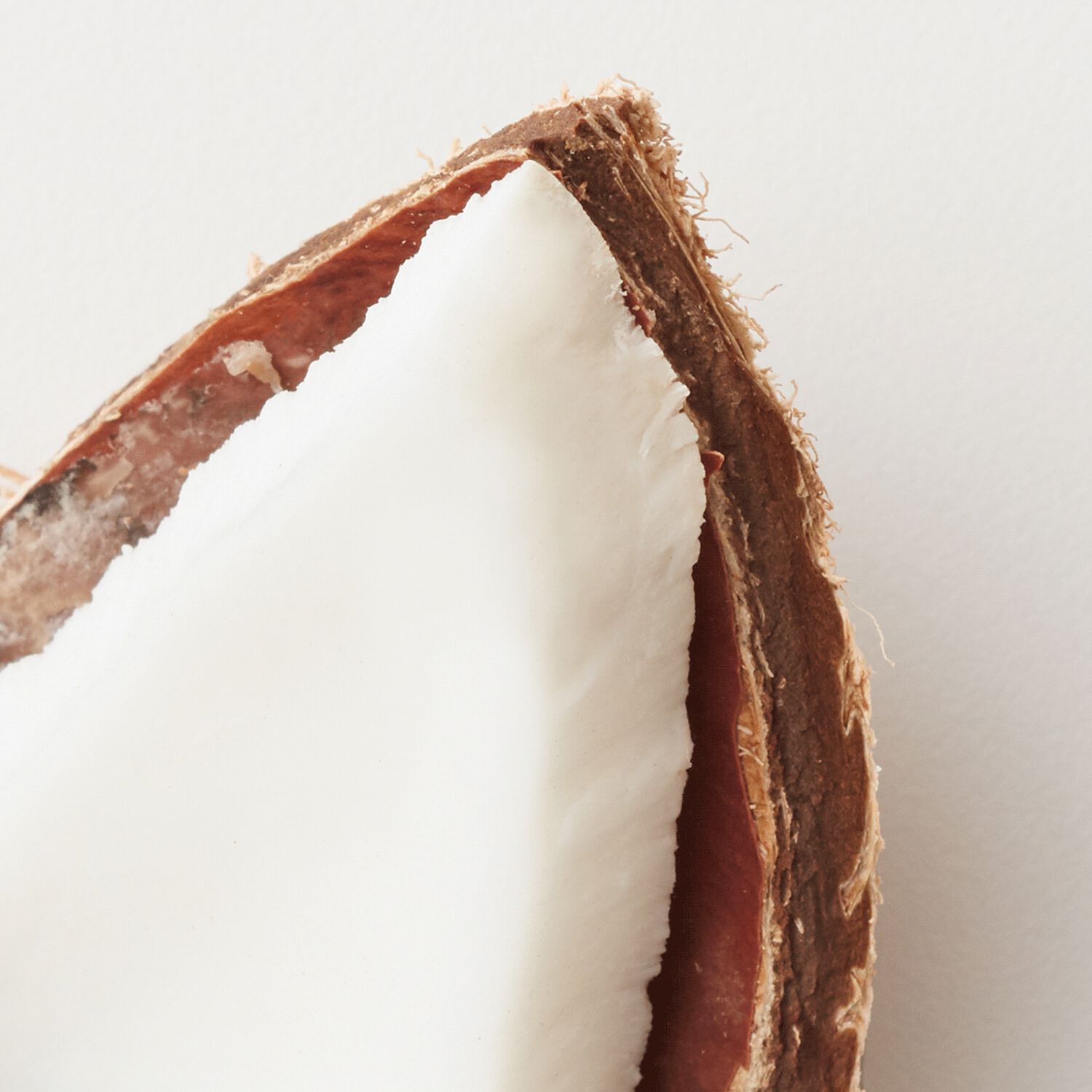 Coco Nut Milk Conditioning Spray AG Care CosmoProf