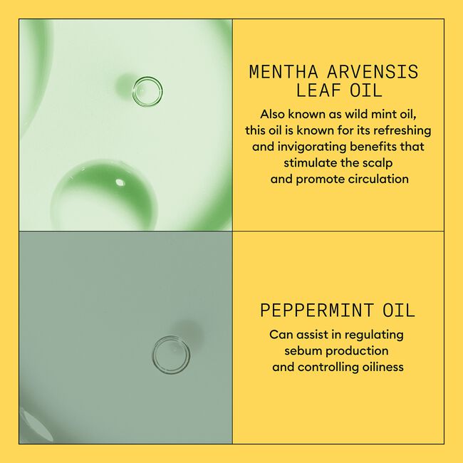 System 1 Scalp Therapy