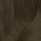 504N Dark Brown Neutral