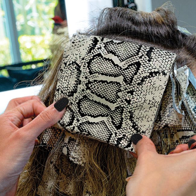 Python Pop-Up Foil