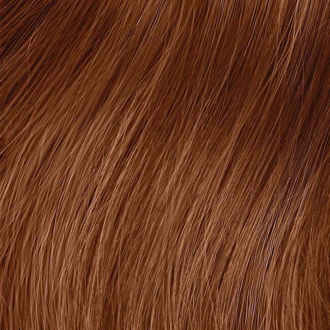 6GV Gold Violet The Demi Demi-Permanent Hair Color