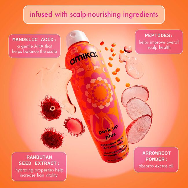 Perk Up Plus Extended Clean Dry Shampoo