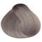 10.12 Lightest Ash Violet Blonde